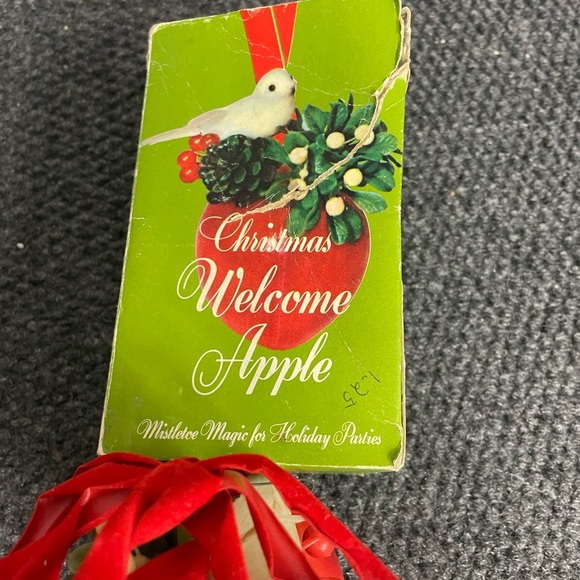 Vintage MCM Plastic Apple Bird Christmas Welcome Ornament with Box 1960s 1970s - Picture 2 of 7